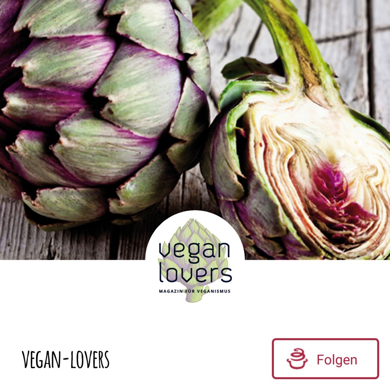 Foodblog vegan-lovers bei mealy